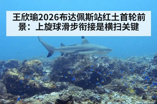 王欣瑜2026布达佩斯站红土首轮前景:上旋球滑步衔接是横扫关键